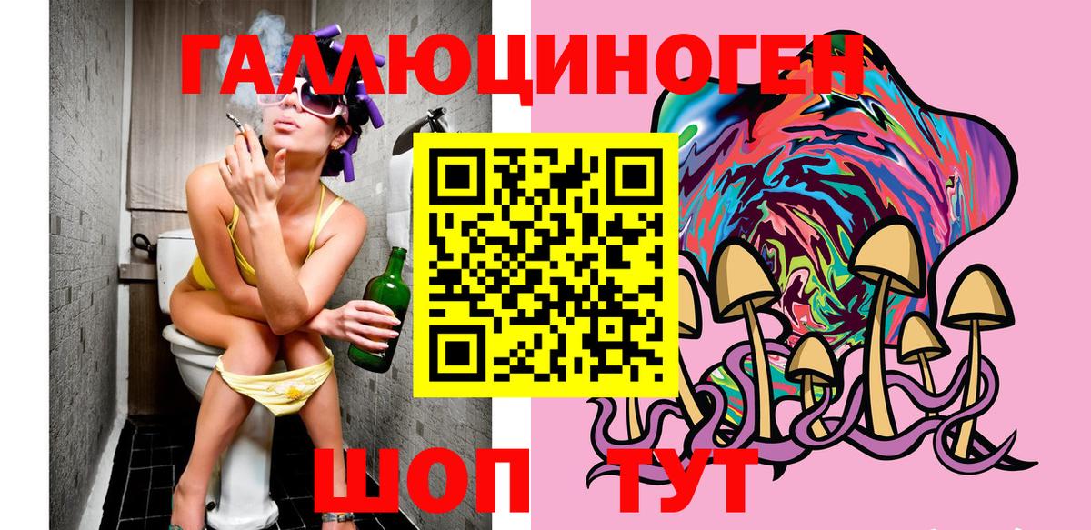 Галлюциногенные грибы Psilocybe  Вход с VPN  Галлюциногенные грибы Psilocybine cubensis  Елец 